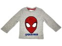 Piżama Spiderman polar 104 szara