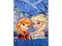 Sukienka Frozen Elsa Anna 104 welur